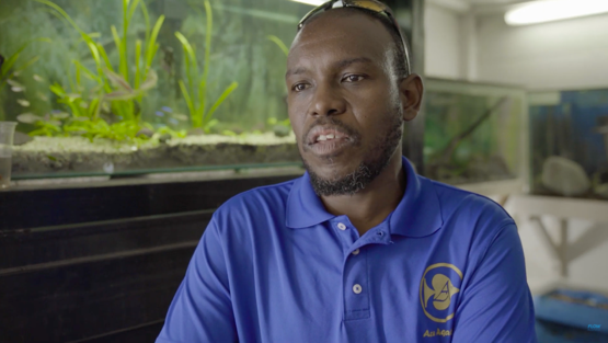 Success Story: Jason Carmichael and Ace Acquatics